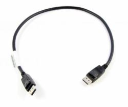 Lenovo 0.5m DisplayPort 0,5 m Negro (DisplayPort to DisplayPort - **New Retail** - Cable 0.5 m - Warranty: 12M)
