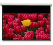 Optoma Panoview 16:9 106" projection screen 2.69 m [106"] (Optoma Panoview DE-9106EGA - projektio)