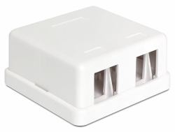 DeLOCK 86207 Drahtverbinder 2x Keystone Weiß (Delock Keystone Surface Mounted Box -)