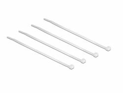 DeLOCK 18605 Kabelbinder Nylon 100 Stück[e] (Delock - Kabelbinder - 10 cm - durchsichtig [Packung mit 100])