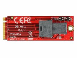 DeLOCK 62721 interface cards/adapter Internal M.2 (Delock - interfaceadapter - SAS 12Gb/s)