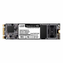 Team Group MS30 256 GB M.2 Serial ATA III (256GB MS30 M.2 SATA SSD)