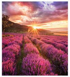 Samsung IF025H-E LED Drinnen (SAMSUNG IFE SERIES INDOOR LED 2.5MM)