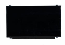 B43043456
