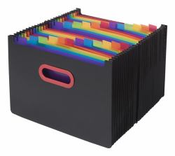 Snopake Rainbow & Black Desk Expanders (Snopake Rainbow & Black 24 part Desk Expander A4- 1 Organiser)