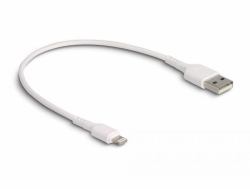 DeLOCK USB Ladekabel für iPhone, iPad, iPod weiß 30 cm (Delock - Lightning-Kabel - USB mÃ¤nnlich zu Lightning mÃ¤nnlich - 30 cm - weiÃ)