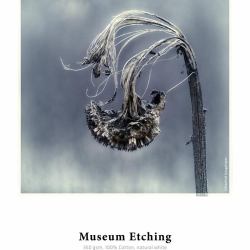 Hahnemühle Museum Etching Natürlich/Natur, Weiß Matt (MUSEUM ETCHING-17IN 12M 350GSM)