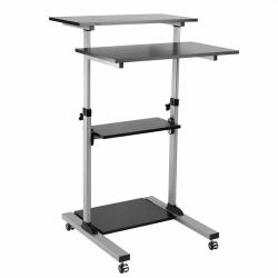 ROLINE 17.02.1547 All-in-One PC/Workstation Halterungen/ Ständer 60 kg Aluminium, Schwarz (PC STANDING WORKSTATION BLACK / - GRAY)