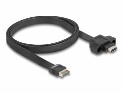DeLOCK USB 10 Gbps Flachbandkabel Typ-E Key A 20 Pin Stecker zu USB Type-C Buchse zum Einbau 75 cm (Kabel HSD Z Buchse zu Typ-A Stecker, USB 2.0, 1 m, Daten, DatenÃ¼bertragung)