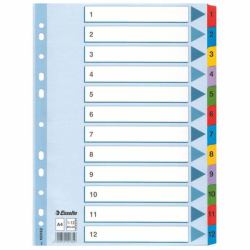 Esselte Index 1-12 Cardboard Mylar tabs A4 (Esselte Mylar register karton A4 1-12)