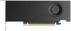 Nvidia RTX PRO 2000 Blackwell 16 Go GDDR7 (Nvidia 16GB RTX Pro 2000 Blackwell 4x mDP LP Smallbox Retail [without Adapter])