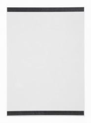 Durable 487419 magnetic frame A4 Transparent (Durable Magnetic Pocket A4 Clear [2])