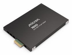 B51350397