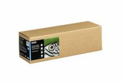 Epson C13S450263NQ carta per plotter 15 m 43,2 cm (FA COT SMOOTH NATU II-17IN 15M 300)