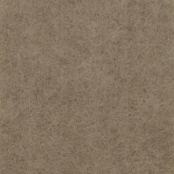 B52667825