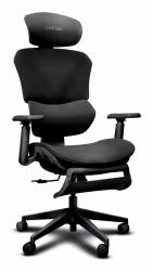 Trust GXT 725 Rivara PC-Gamingstuhl Gepolsterter Sitz Schwarz (26010 [New] ERGO GXT725 RIVARA MESH GAMING CHAIR BLK WITH FOOT REST)
