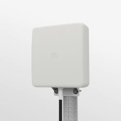 B53043455