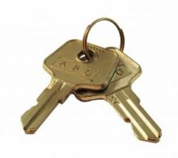 apg Solutions VPK-8K-243 Schlüsselkasten & Organizer Metallisch (VASARIO KEY PARTS KIT [2] KEYS - [DENOTES KEY NUMBER 243])